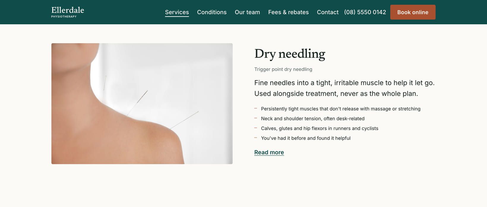 Screenshot of the “Dry needling” section of the Clinic demo site.